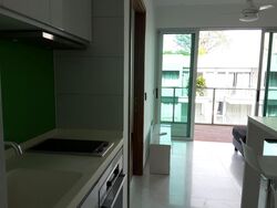 Suites At Orchard (D9), Apartment #335272631